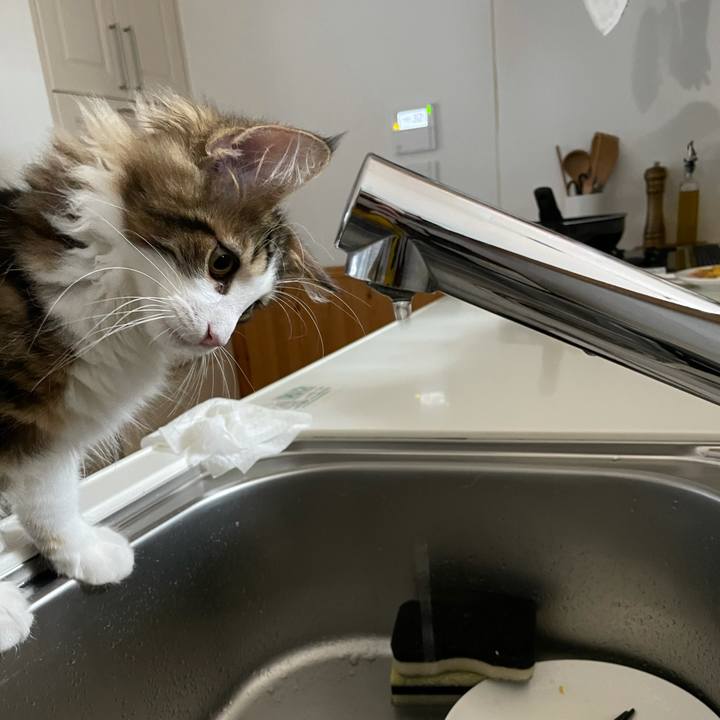 Cea5ae2b ab61 4536 893c 43eee6dcad65 1634507269850