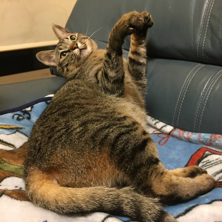 Cea5cdca 1562 4c69 be77 42a00a6e9503 1561211791013