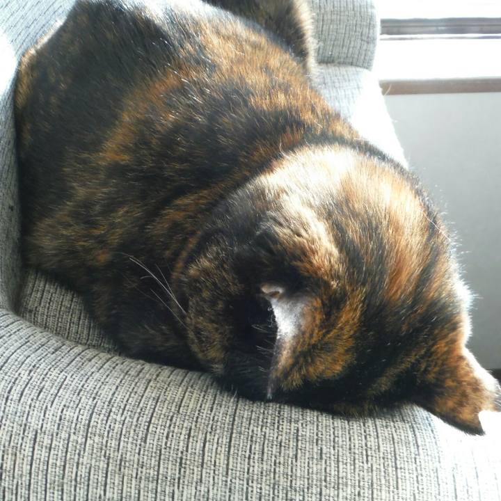 Cea5d203 d9d5 4a63 92bf d838b31a0d59 1527743017099