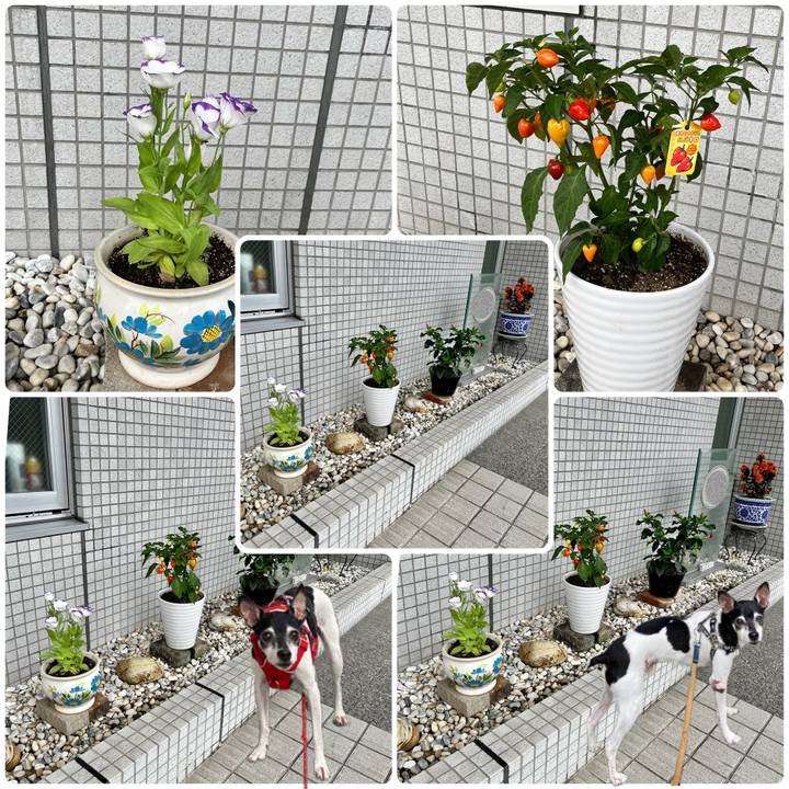 Cea5e01e 461d 4e59 b422 1959ae9c2320 1661682566093