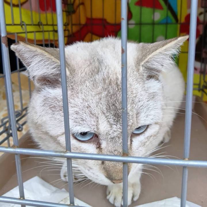 Cea64249 be33 4a84 842d 827b0be05c03 1765523024767