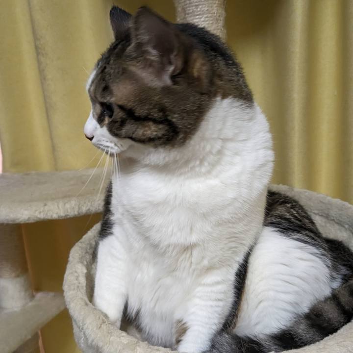 Cea65e8b 4e8e 4ac1 9d2a 7a6c37ca68d6 1693198323296