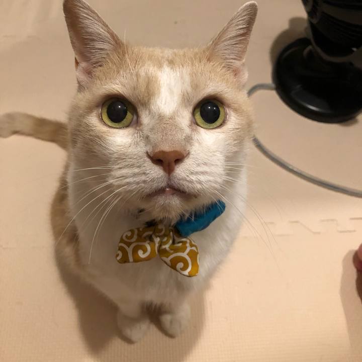 Cea6a976 df40 405c 979b 7212628b8859 1599135126493