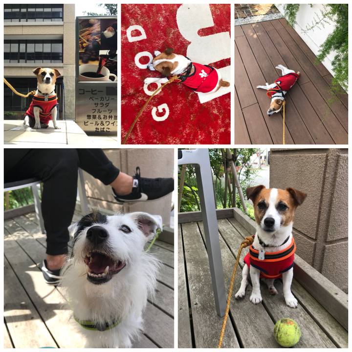 Cea709f3 aeaf 4e2f 990f e0e74f7a5d11 1529824148287