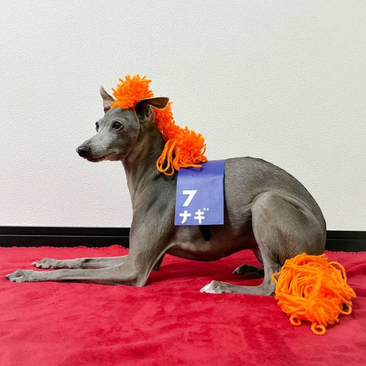 Cea74895 f6f6 43e4 8797 b5e02d1f461f 1767233667822