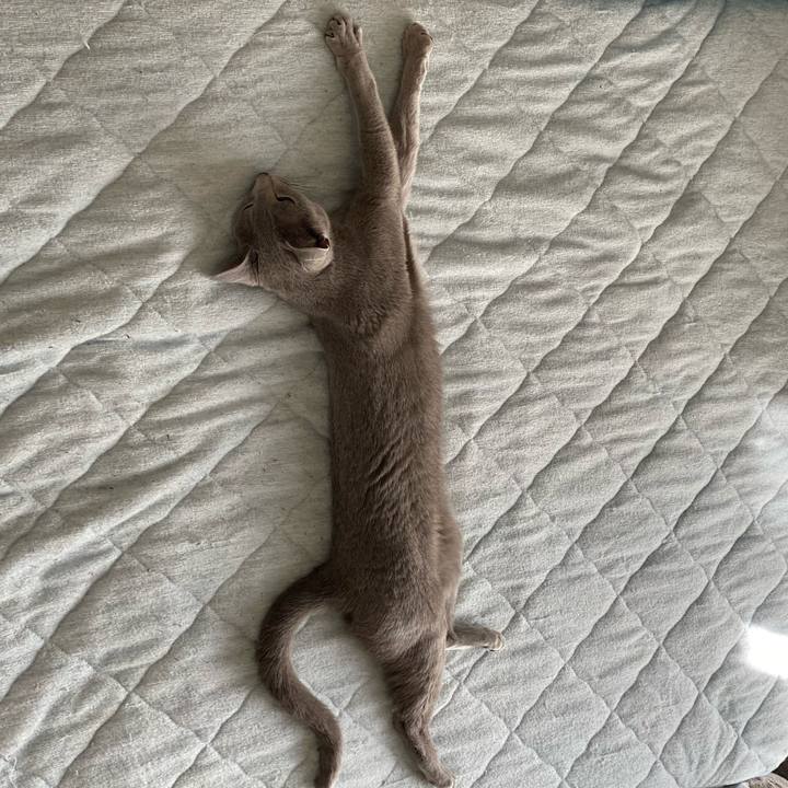 Cea74a36 b709 4b3a 9825 83c6415f4544 1647058151001