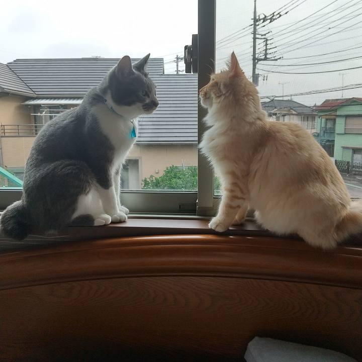 Cea772ff 6843 4739 b3ee 39d661a8d3ed 1624579509704