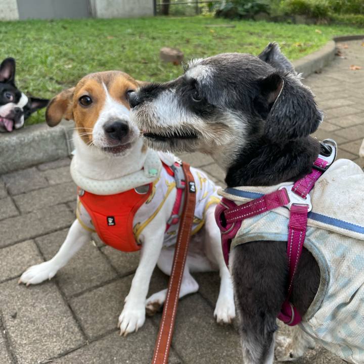 Cea7c3d0 c76c 42f8 aa81 0f8d002cad41 1694475423667