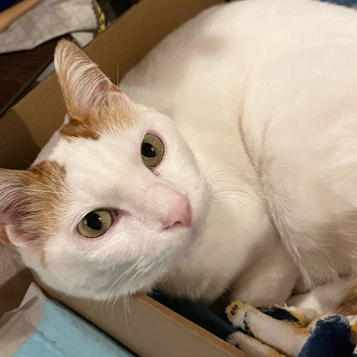 Cea7d06d 370c 49ea 9cf7 9bb8cbad77d6 1766441789213