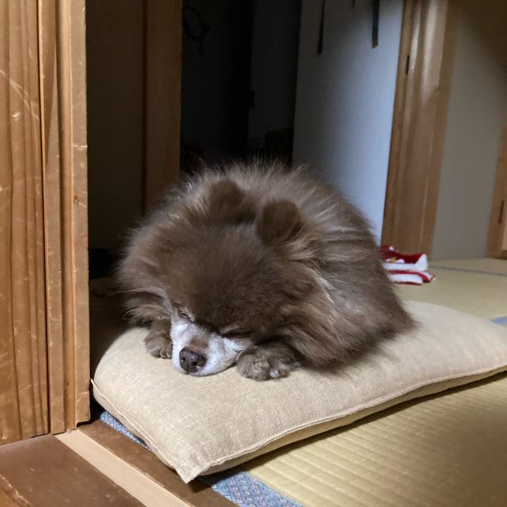 Cea7ea21 c9ca 4bb1 b30b ce66f65e2981 1731298946424