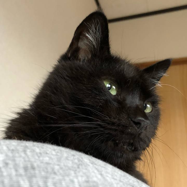 Cea84194 6aee 4236 85a1 df81d2595e36 1597240271276