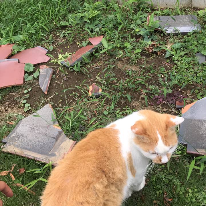 Cea84838 7b00 4069 8ed5 a6131b8db0cb 1568440368176