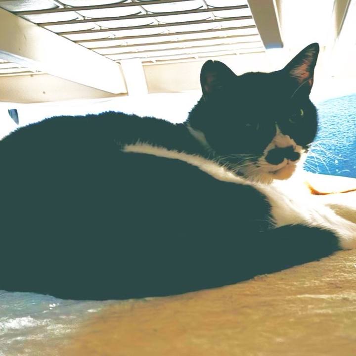 Cea85db9 b5fd 43c8 8c24 744737da5bd8 1727654489403