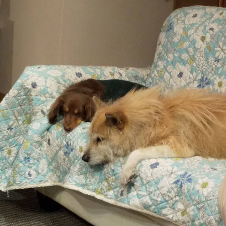 Cea887bb ca45 4153 89c8 94020db41925 1550313662119