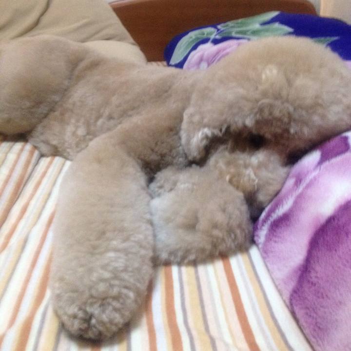 Cea89c21 623f 42a3 b077 dd09ce3112e8 1537691857960