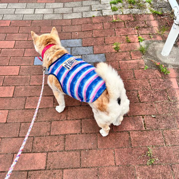 Cea8b649 563b 4911 b114 2b9b7b31042c 1748336432032