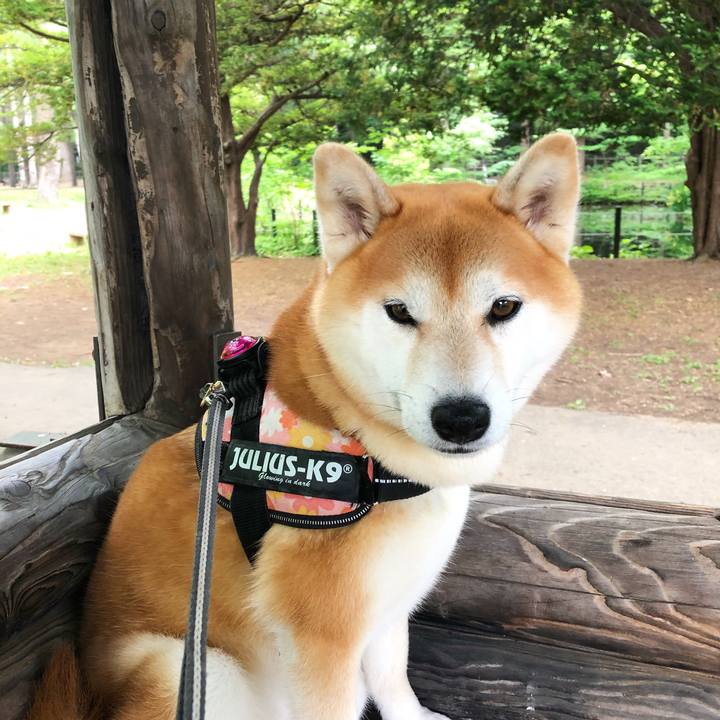 Cea8c914 4cee 46b1 b55a c3d93309ea91 1559866818721