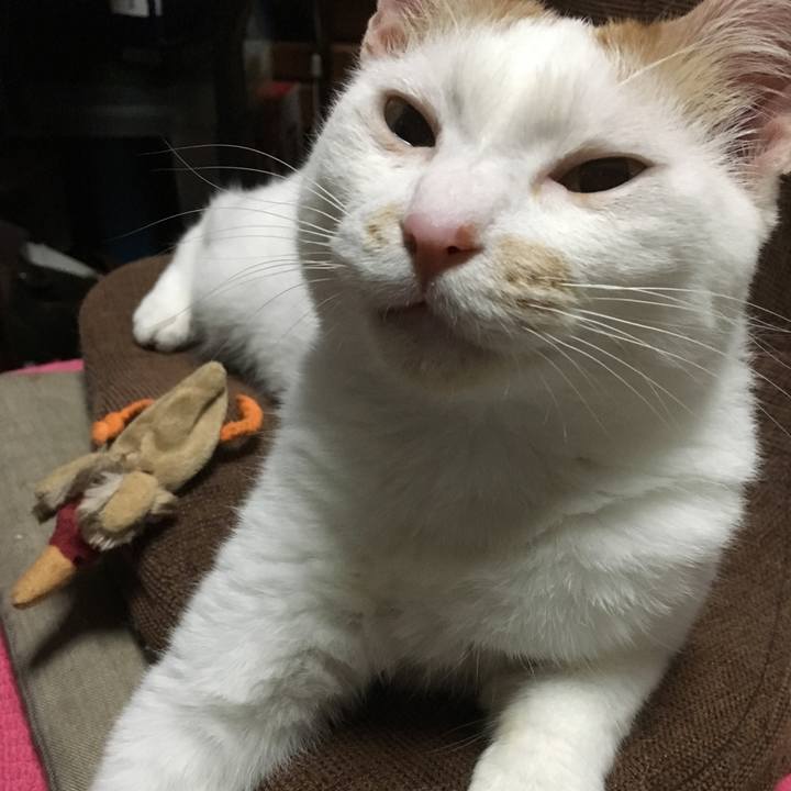 Cea8fa58 03a8 4b04 9f08 d6fac3bc0f0e 1561642306276