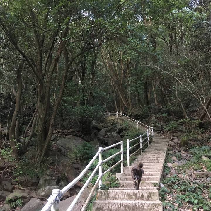 Cea906fe 8b3e 4d70 a2e3 6a94113a7907 1526169735053