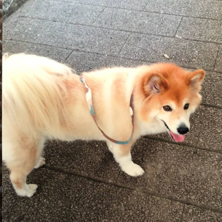 Cea92bd2 abb4 4e8c bf3c 8311d330437d 1534324032417