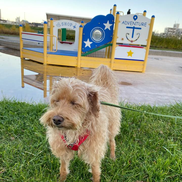 Cea94534 911c 42af 8522 4dc84dc3ecfc 1667287708625