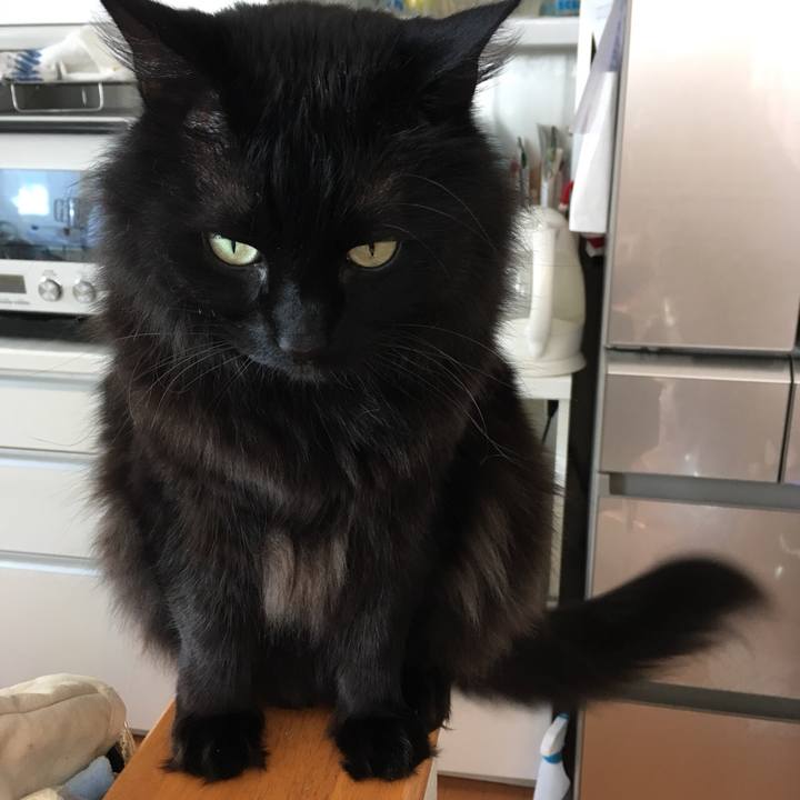 Cea956e9 4af9 4312 894b 6069f63ba6fe 1515815639067