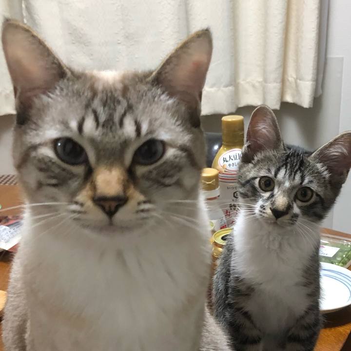 Cea96094 d608 4d94 9a61 236f4a144da7 1636553349361