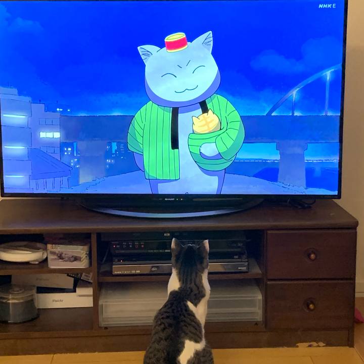 Cea98074 a513 40e7 9db4 056148fd178c 1704333915859