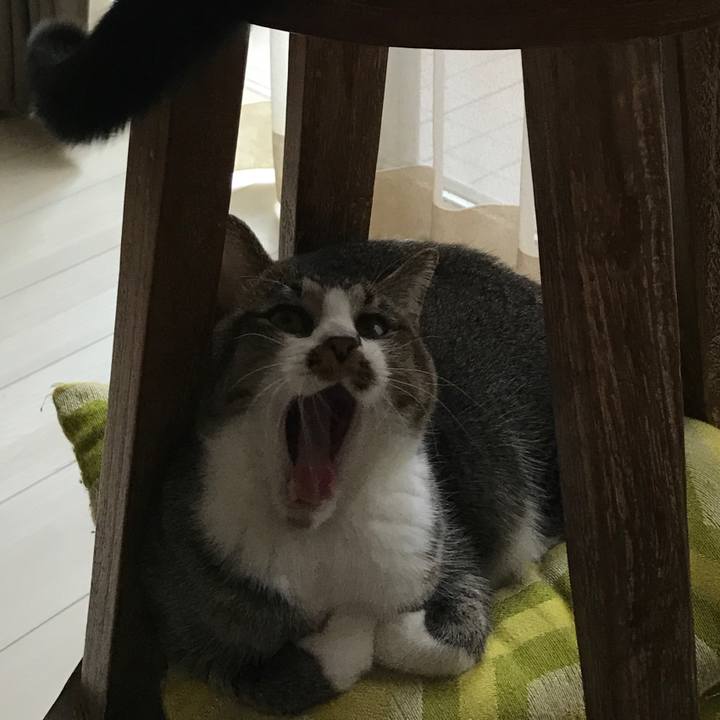 Cea982d6 3926 4825 bff2 69ffe3792525 1510011038535