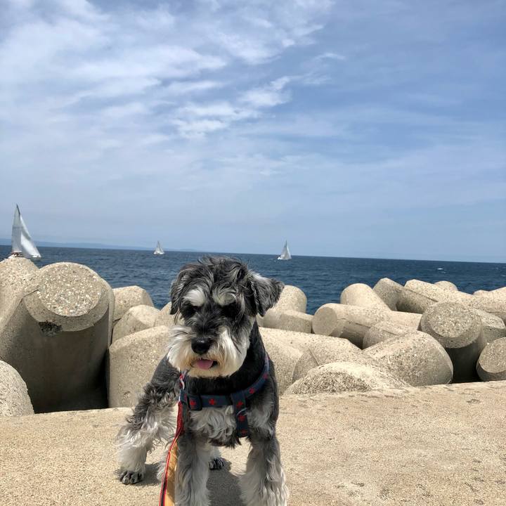 Cea9a8e0 d65b 45e0 b649 515a6e120f2e 1654414430195