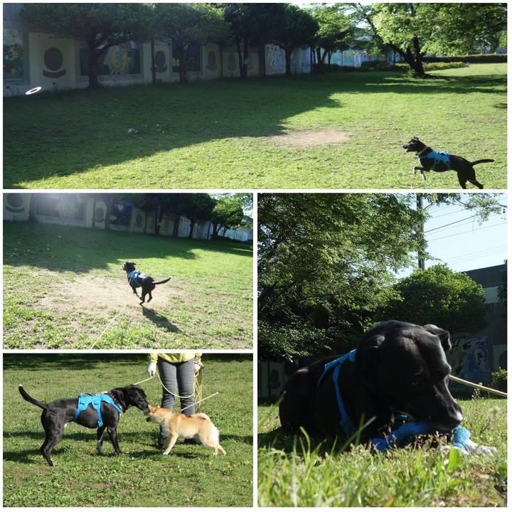 Cea9bc7d f5a3 4856 9ae2 63caaa0dc983 1619394830101