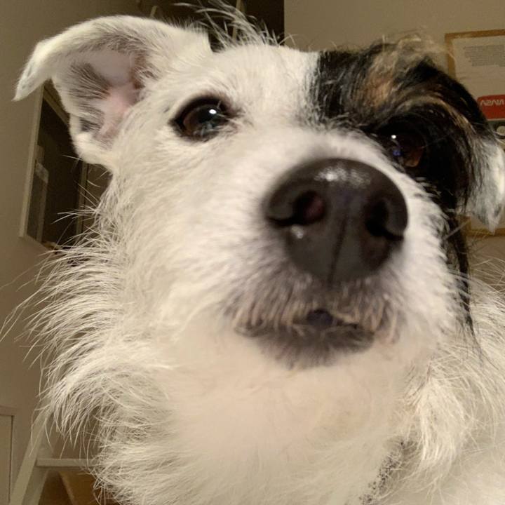 Cea9d935 edb2 4fda a145 4e2527a575e1 1615108461723