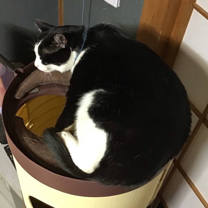 Cea9e280 9cd9 4873 af28 1dd5b9245364 1736158883001