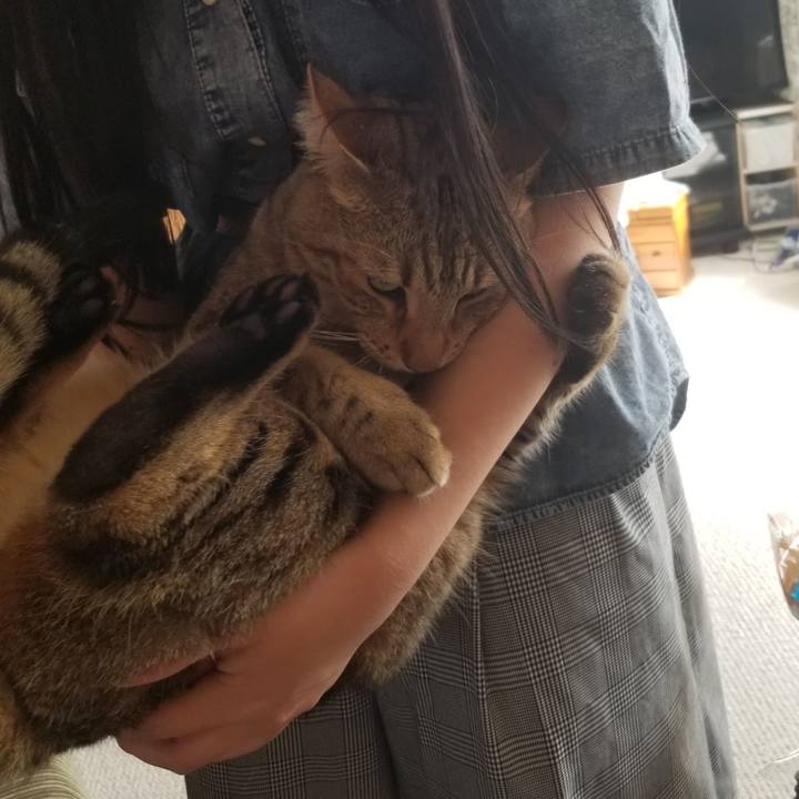 Cea9ecd1 180f 472b 8e50 79bd45310ea8 1649079972243