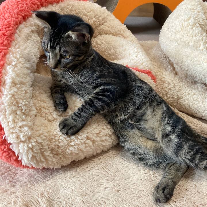 Ceaa1623 c797 4b61 b4b4 8e881254eedc 1604567428654