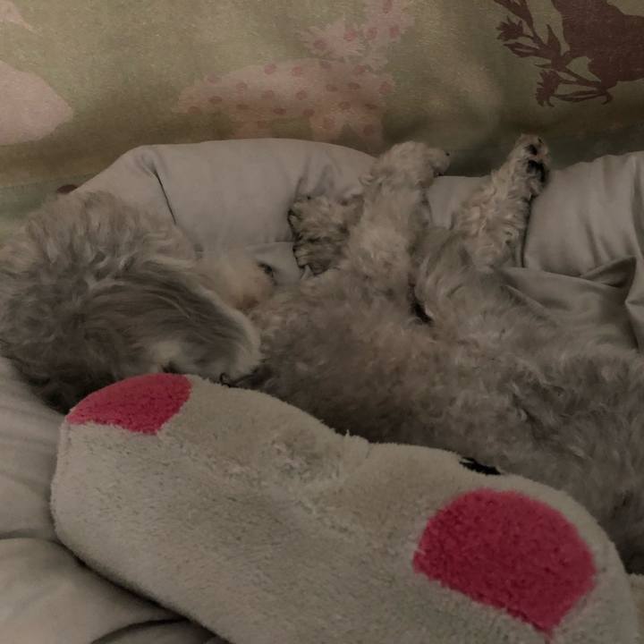 Ceaa5671 a1f0 41b7 b8ef 94a5b0966e7b 1624159839867