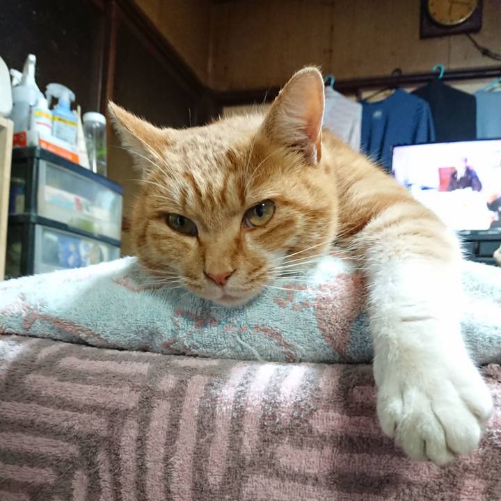 Ceab14ee e150 4ef8 a6d9 c8e4917b9a29 1606900832740