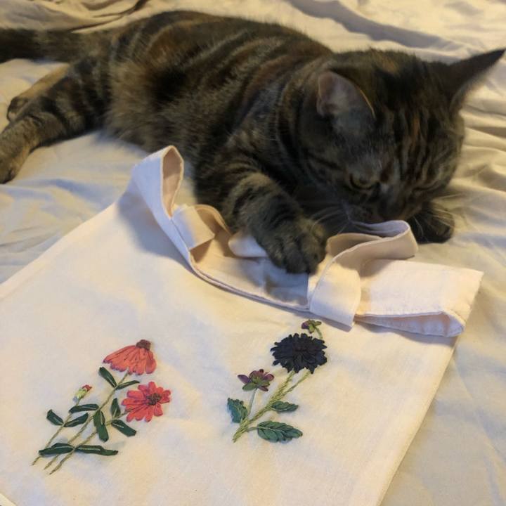 Ceab2ccf 1e75 4502 aa19 369c1aa76a1b 1639362662153