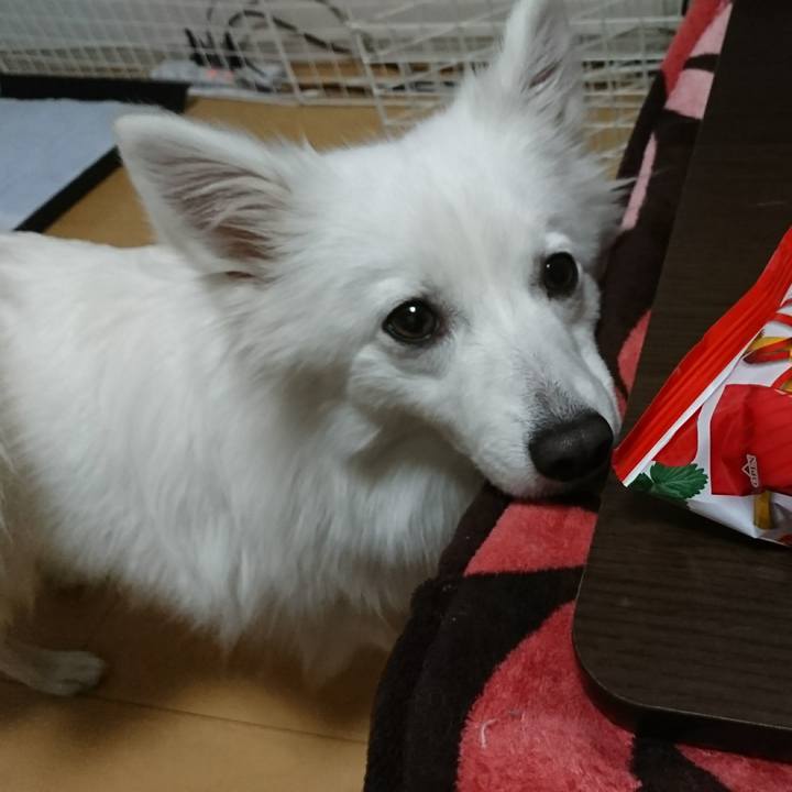 Ceab3752 bdc3 4c98 aea6 3523895c64d4 1515509235994