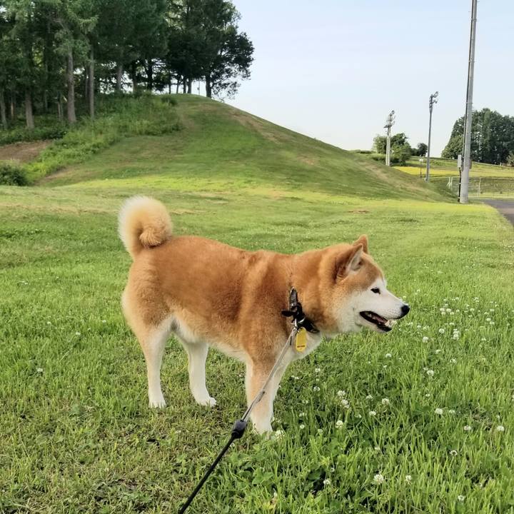 Ceab9943 377d 4fa1 be11 9df9d044acdf 1623745489778