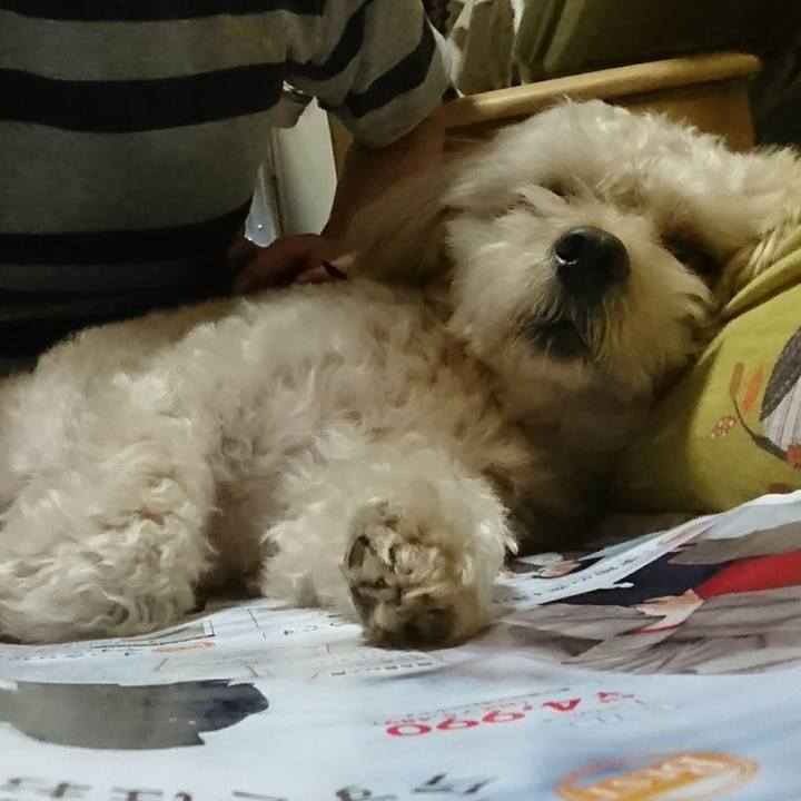 Ceabac14 f67f 45b6 80fa a6e530e67791 1570914795018