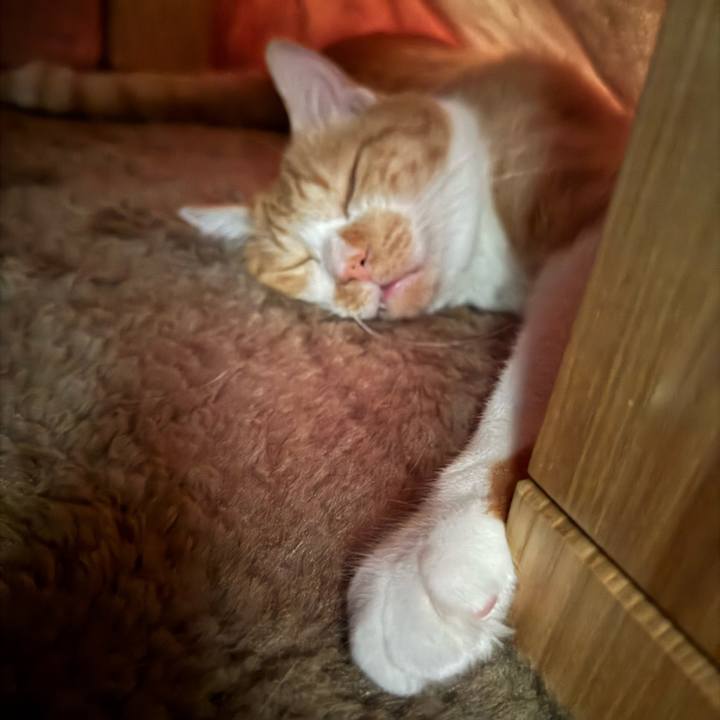 Ceabd593 ccb2 49b8 8257 2321c0286e65 1761100230277