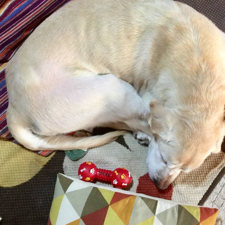 Ceabeb6a 9ab3 464b 8038 29541a92f4bc 1588157589232