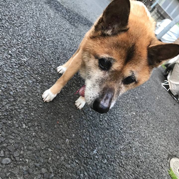 Ceac2ff7 ca3a 40eb a3c4 2a0d0612283f 1554068805923