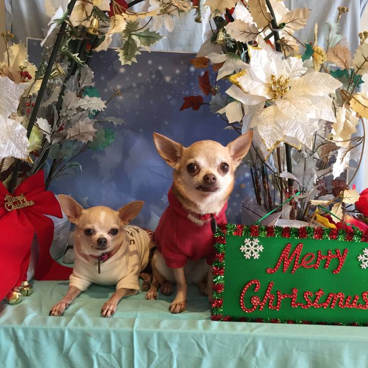 Ceac6c28 f0d1 419c 8f51 ec2cfd28130f 1512296109696