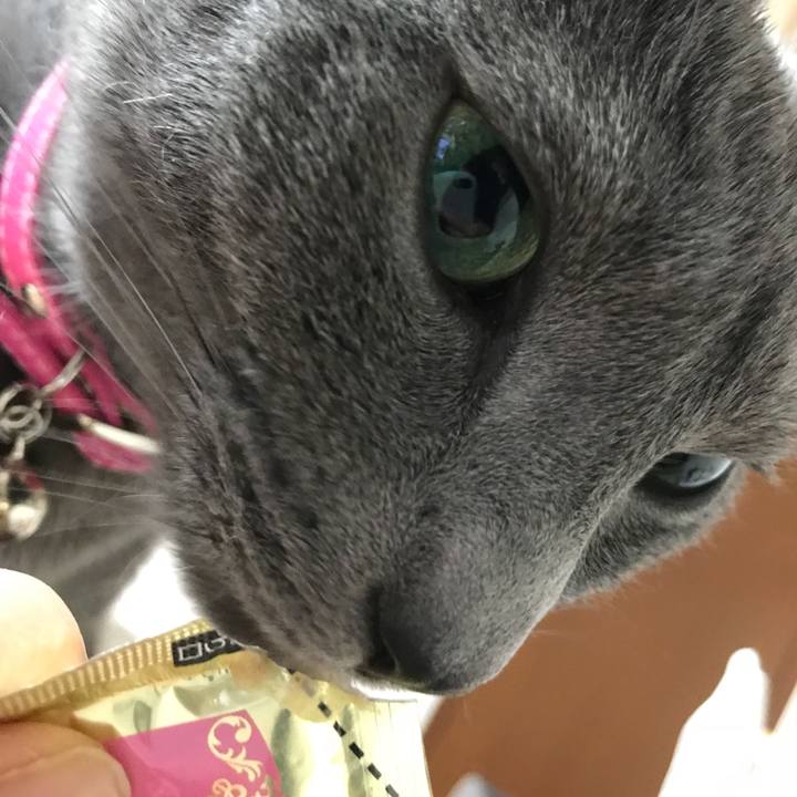 Ceac6d19 a0b1 41b1 8687 8a959b527629 1520577436916