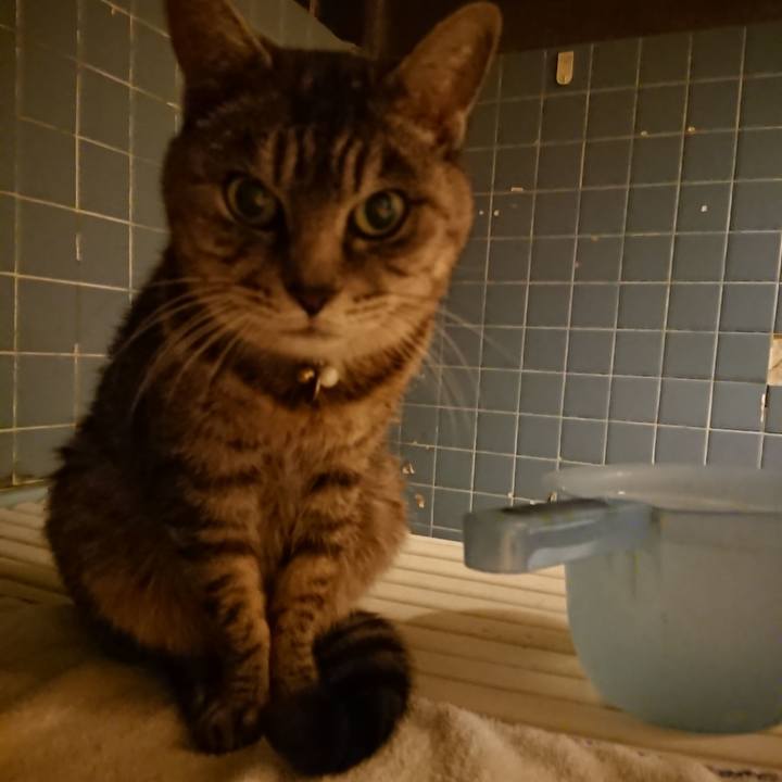 Ceac83f7 93f9 4ccf 87e1 f505a9e5f03e 1574155175066