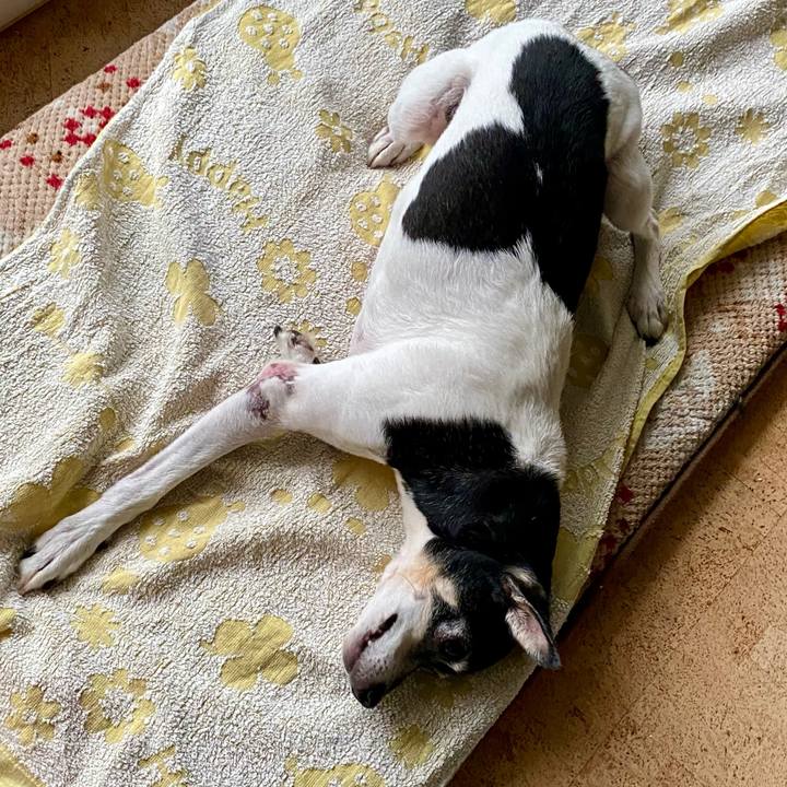 Ceacaa80 37bb 40c5 943a d48005e283a4 1622756311275