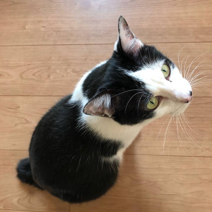 Cead30ab 4298 429a 81f1 fdb1be434e10 1557563037771