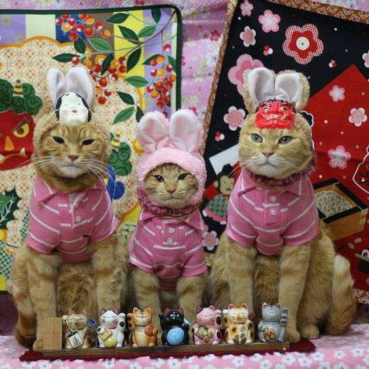 Ceadb7a4 a0b6 4e3b 813c 936bffbf9086 1549011679967